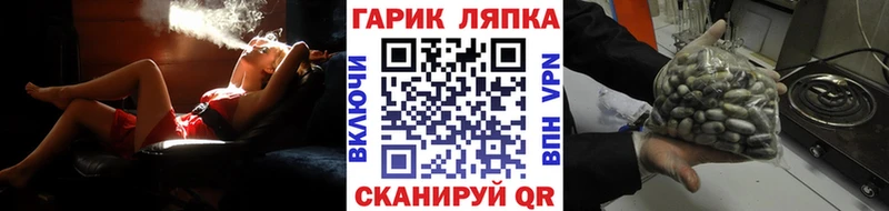ГАШИШ VHQ Кинешма