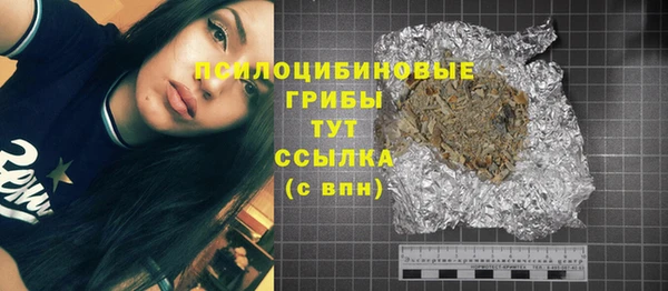 мет Корсаков