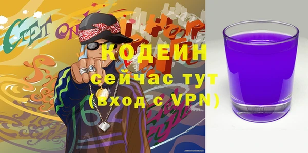 СК Козельск