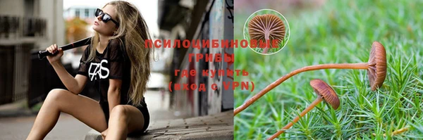 сатива Козловка