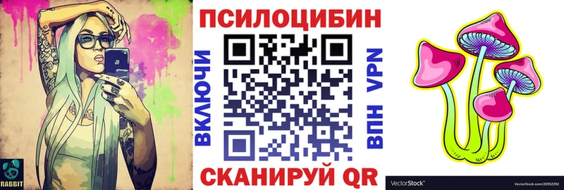 Псилоцибиновые грибы мухоморы  цены наркотик  Кинешма 
