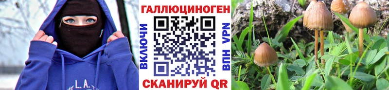 Галлюциногенные грибы мухоморы Кинешма