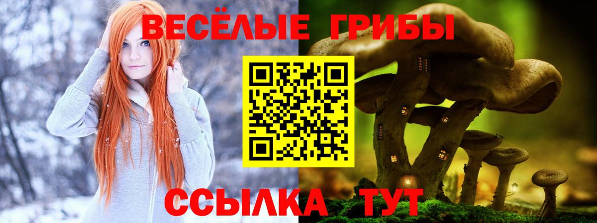 как найти   Псилоцибиновые грибы ЛСД  Вход с VPN  Псилоцибиновые грибы мухоморы  Кинешма 